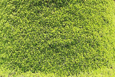 经典恋爱冒险重制《心之彼端》新艺图 2025年登陆NS＆Steam