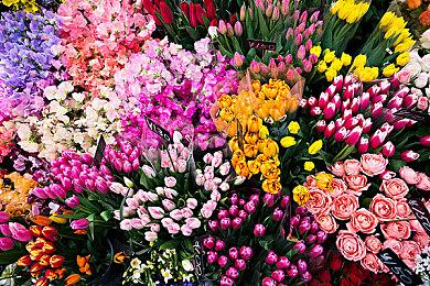 《失落的方舟》欧中服人满为患 亚马逊表示无能为力